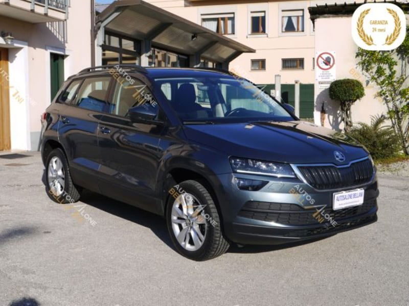 Skoda Karoq 2.0 TDI EVO SCR 115 CV DSG Executive