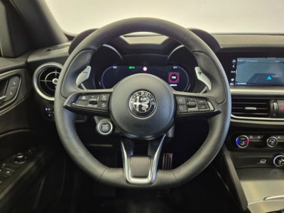 Alfa Romeo Stelvio Stelvio 2.2 Turbodiesel 160 CV AT8 RWD Sprint (10)