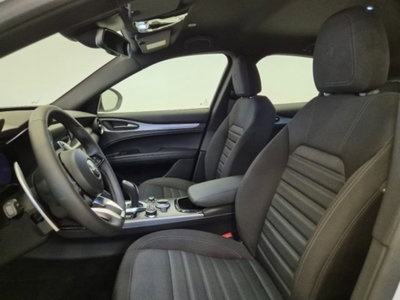 Alfa Romeo Stelvio Stelvio 2.2 Turbodiesel 160 CV AT8 RWD Sprint (16)