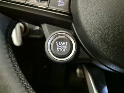 Alfa Romeo Stelvio Stelvio 2.2 Turbodiesel 160 CV AT8 RWD Sprint (19)