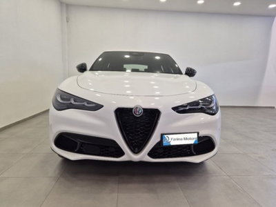 Alfa Romeo Stelvio Stelvio 2.2 Turbodiesel 160 CV AT8 RWD Sprint (2)