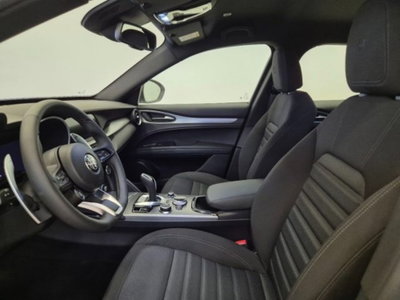 Alfa Romeo Stelvio Stelvio 2.2 Turbodiesel 160 CV AT8 RWD Sprint (8)