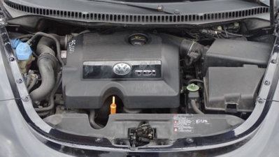 Volkswagen New Beetle Cabrio TDI 105CV (12)