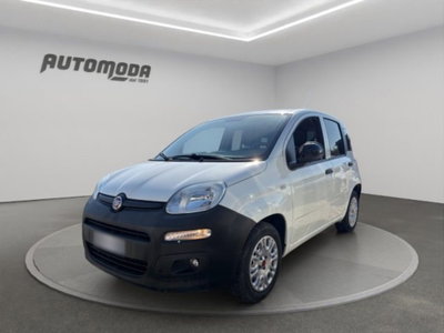Fiat Panda 1.2 usata