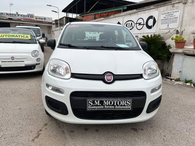 Fiat Panda 1.2 Easy  usata