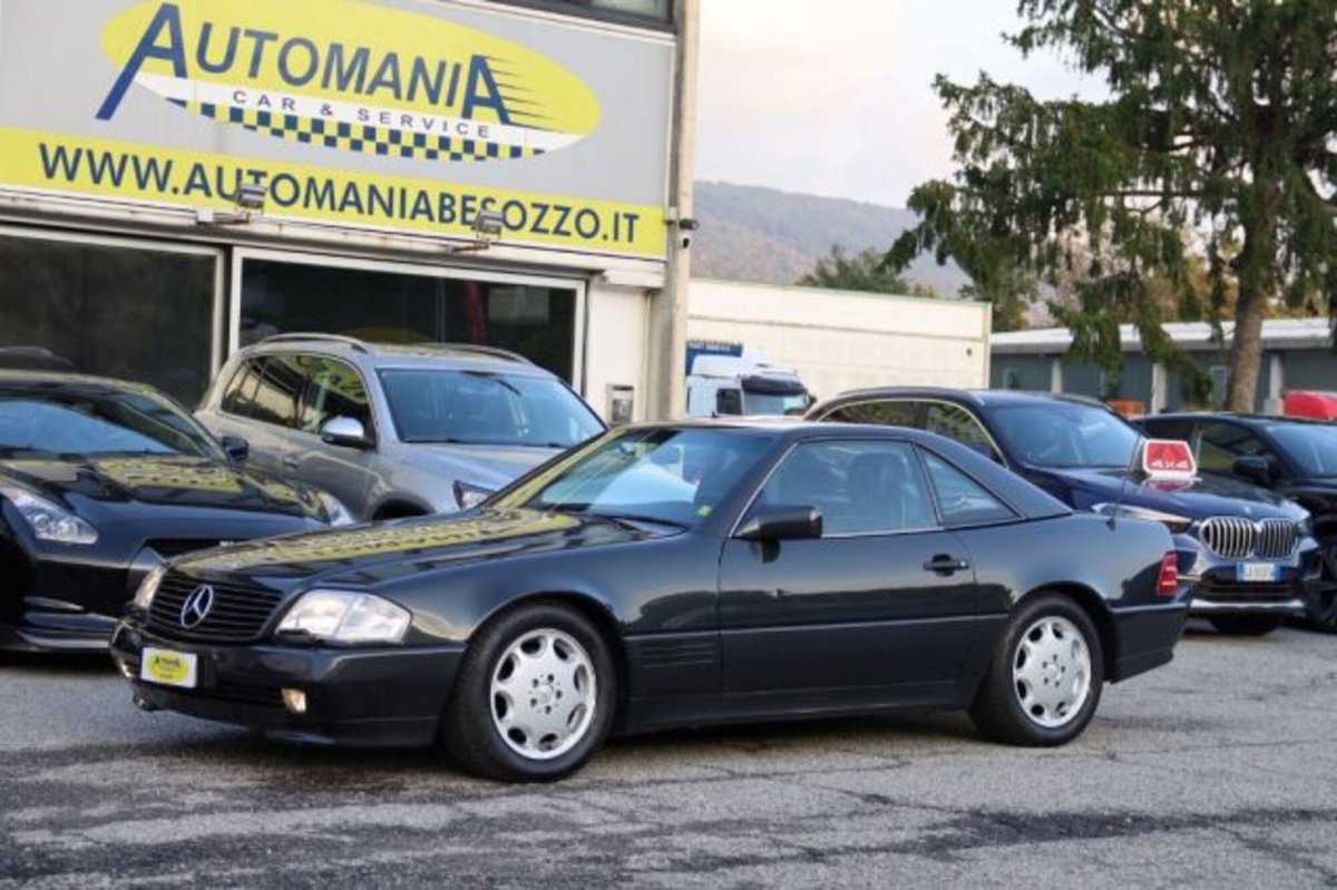 Mercedes-Benz SL 500 cat (3)