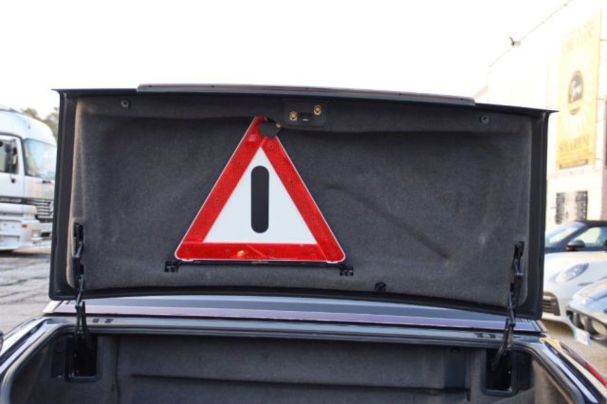 Mercedes-Benz SL 500 cat (18)