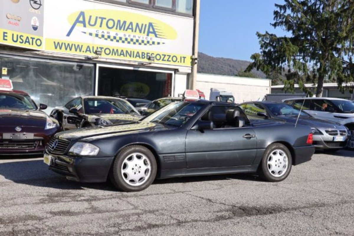 Mercedes-Benz SL 500 cat (2)