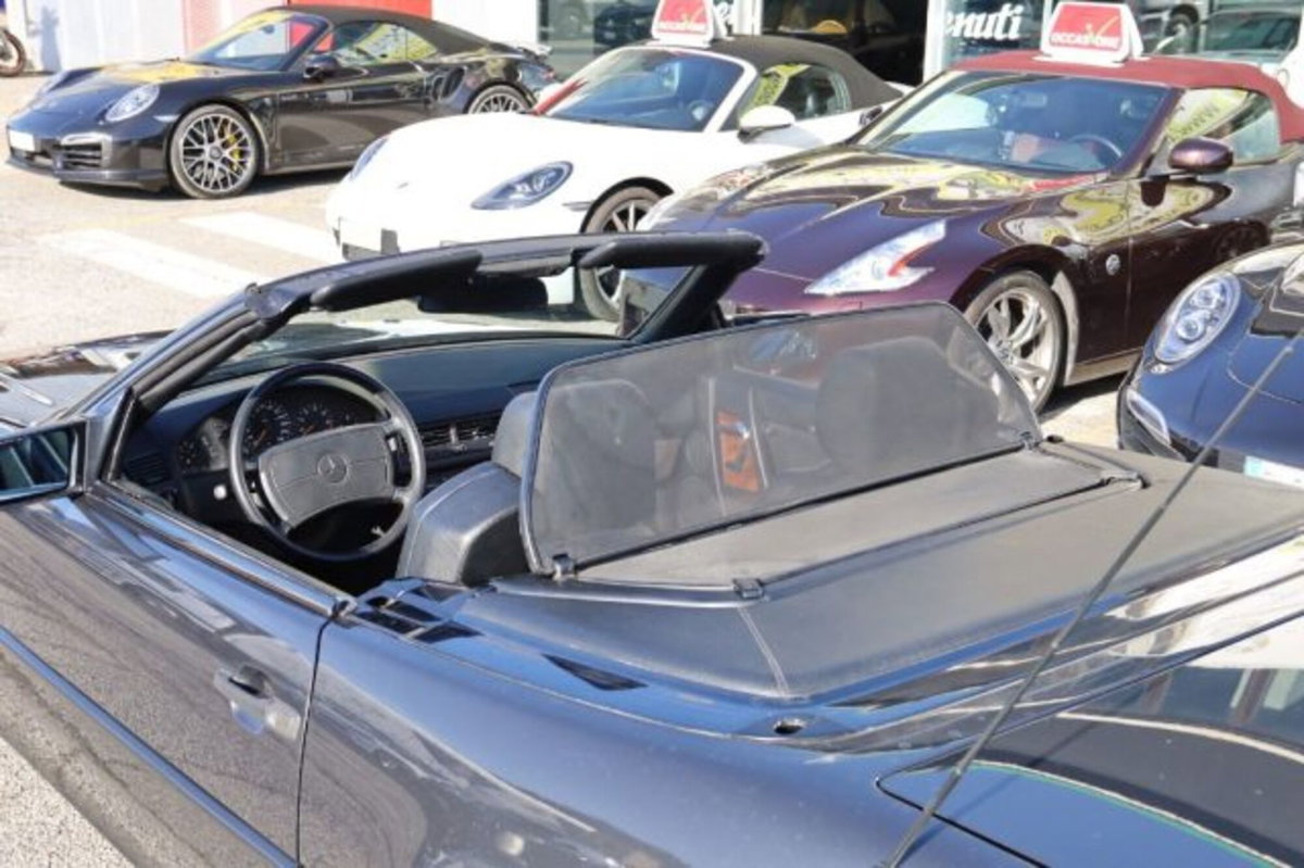 Mercedes-Benz SL 500 cat (10)
