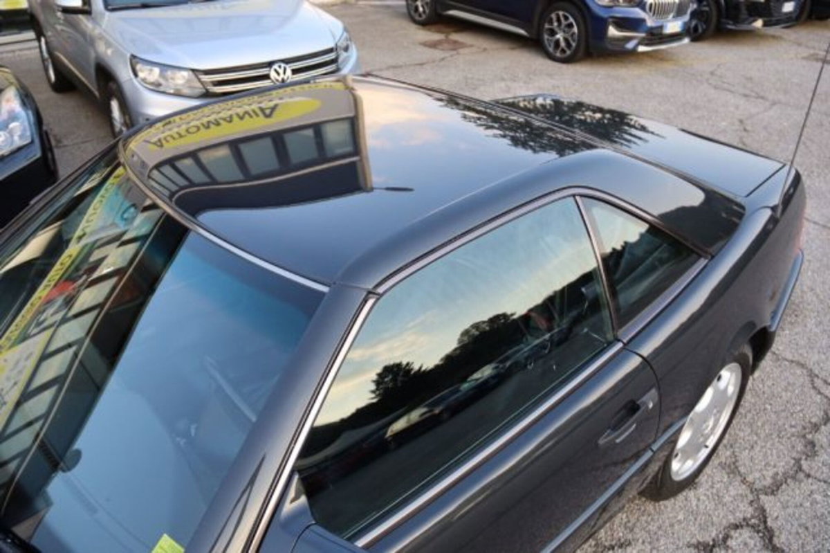 Mercedes-Benz SL 500 cat (15)