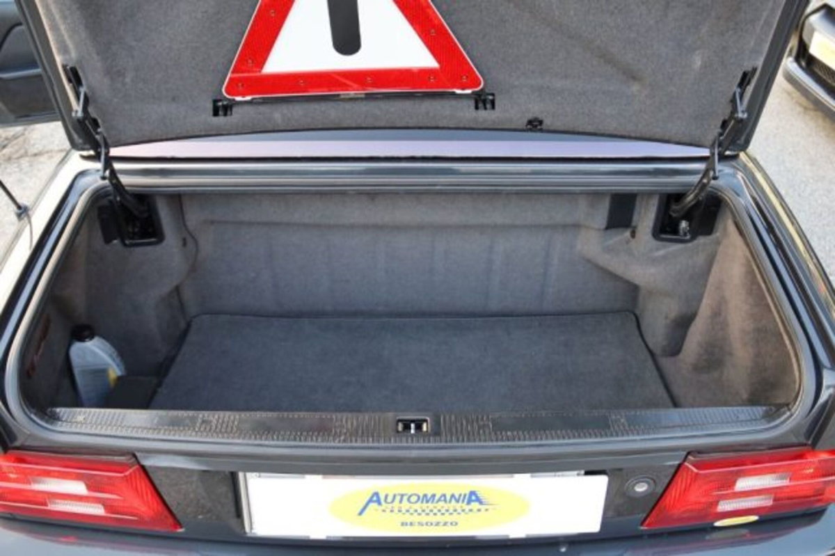 Mercedes-Benz SL 500 cat (9)