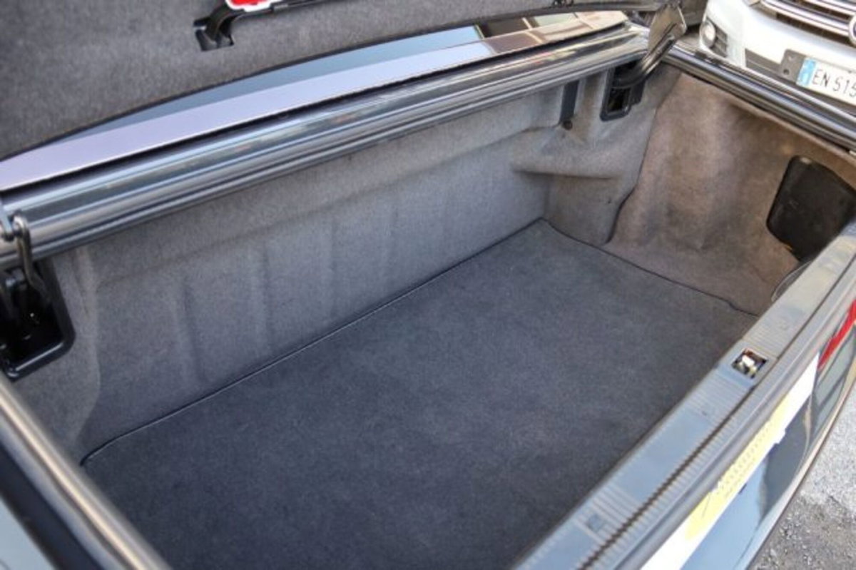 Mercedes-Benz SL 500 cat (16)
