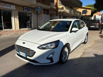 Ford Focus 1.5 EcoBlue 120 CV automatico 5p. Business Co-Pilot usata