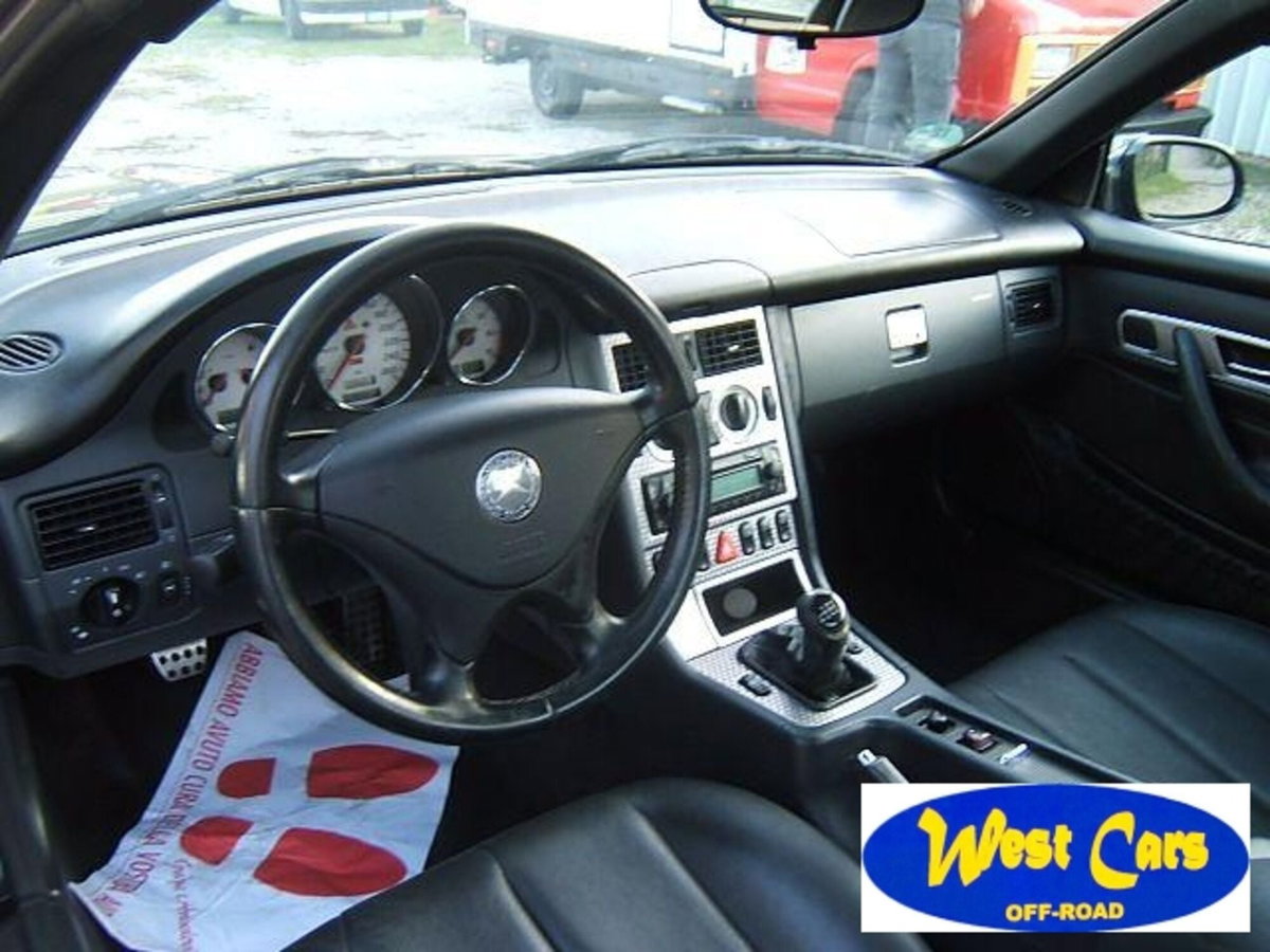 Mercedes-Benz SLK 320 cat (10)