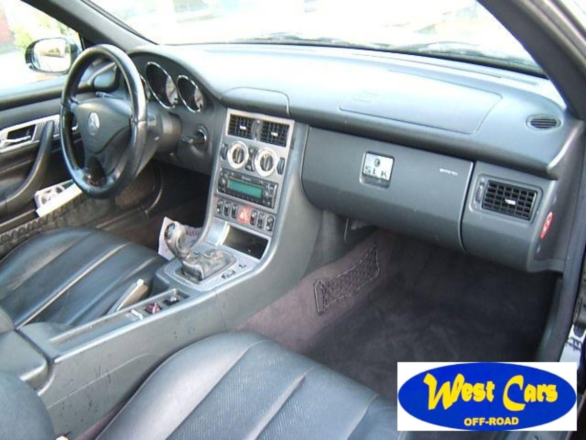 Mercedes-Benz SLK 320 cat (11)
