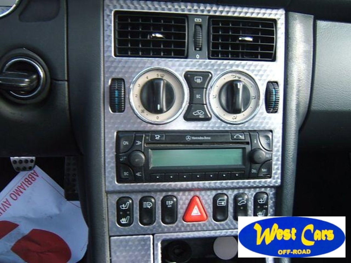 Mercedes-Benz SLK 320 cat (12)