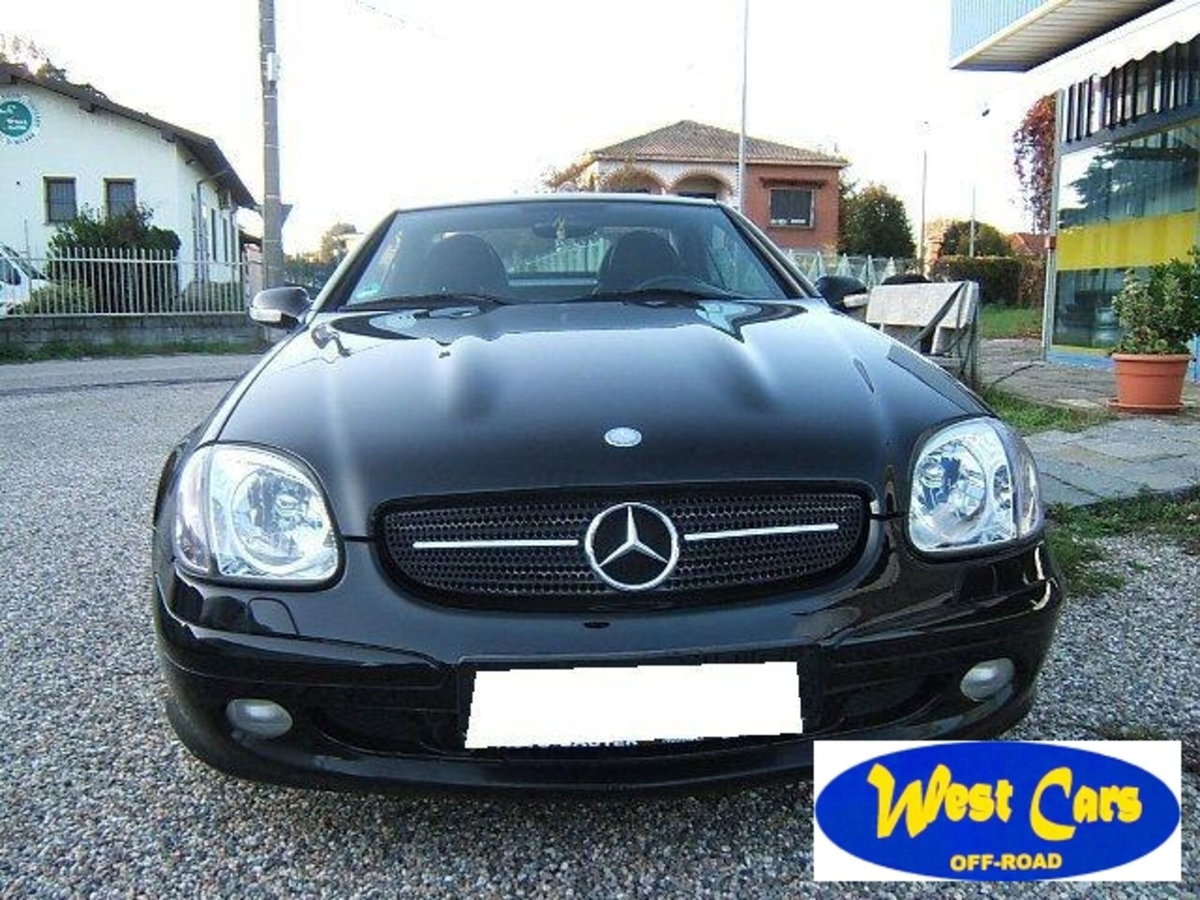 Mercedes-Benz SLK 320 cat (2)