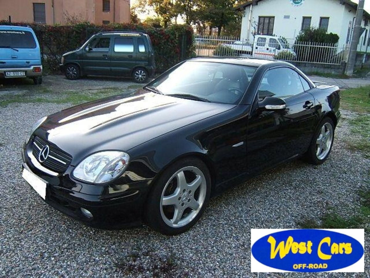 Mercedes-Benz SLK 320 cat (3)