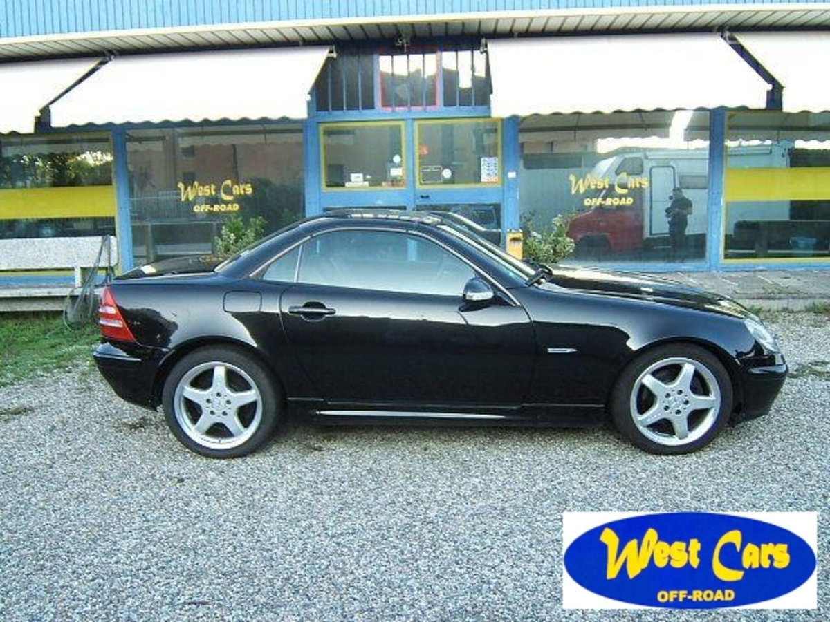 Mercedes-Benz SLK 320 cat (4)