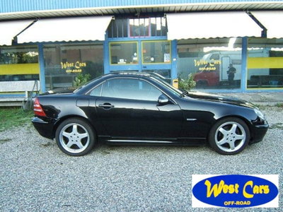 Mercedes-Benz SLK 320 cat (4)