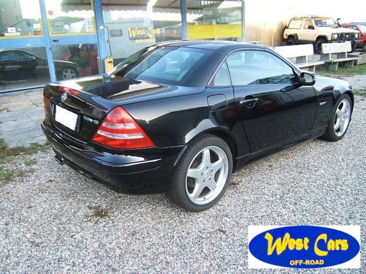 Mercedes-Benz SLK 320 cat (5)