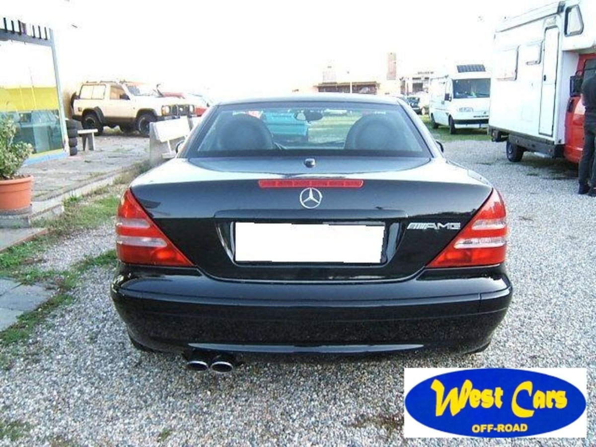 Mercedes-Benz SLK 320 cat (6)