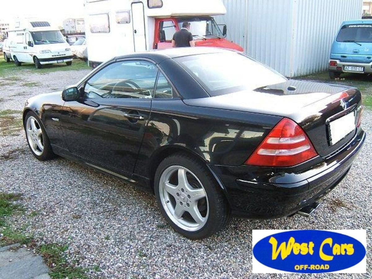 Mercedes-Benz SLK 320 cat (7)
