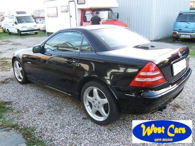 Mercedes-Benz SLK 320 cat (7)