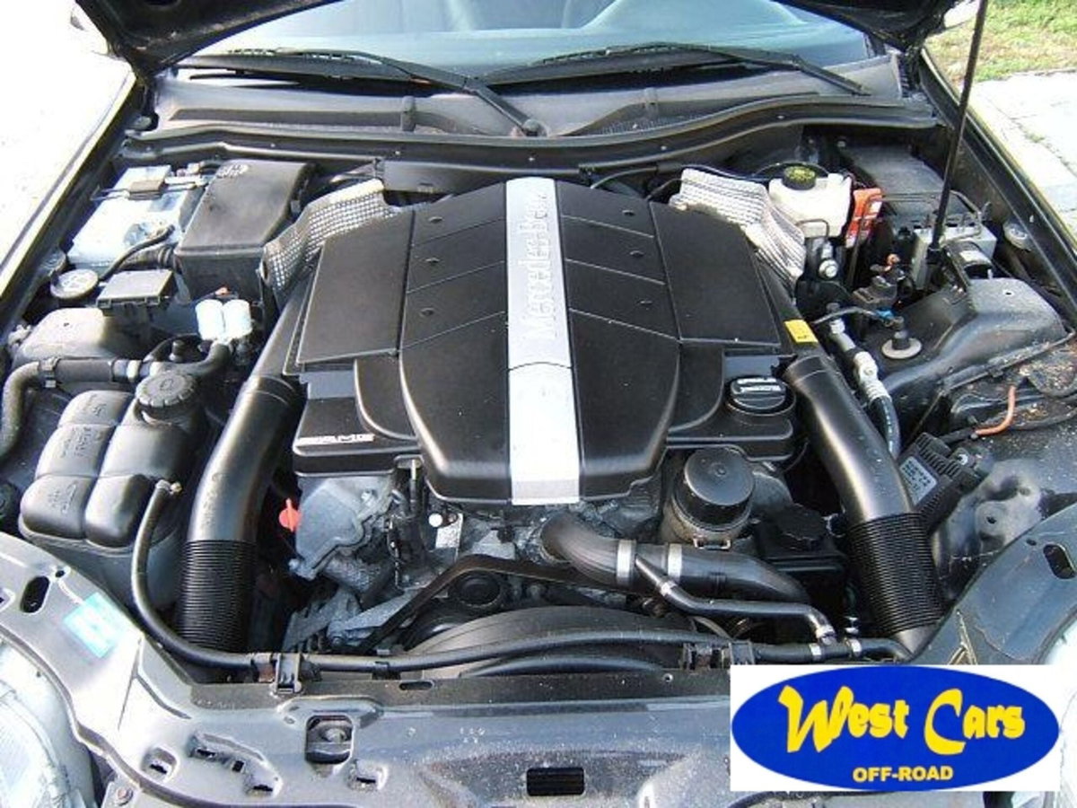 Mercedes-Benz SLK 320 cat (8)