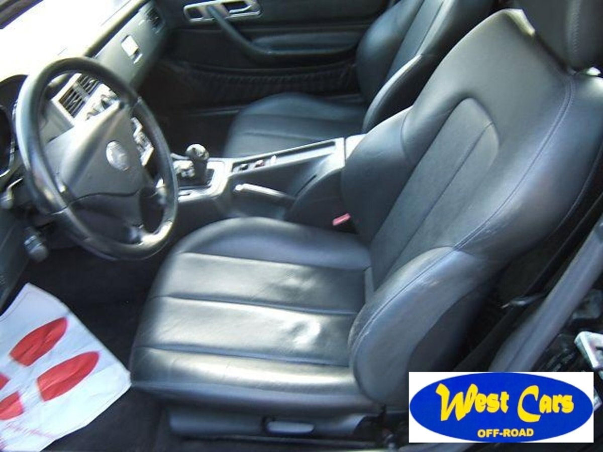 Mercedes-Benz SLK 320 cat (9)