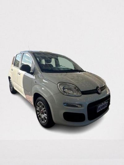 Fiat Panda 1.2 Easy usata