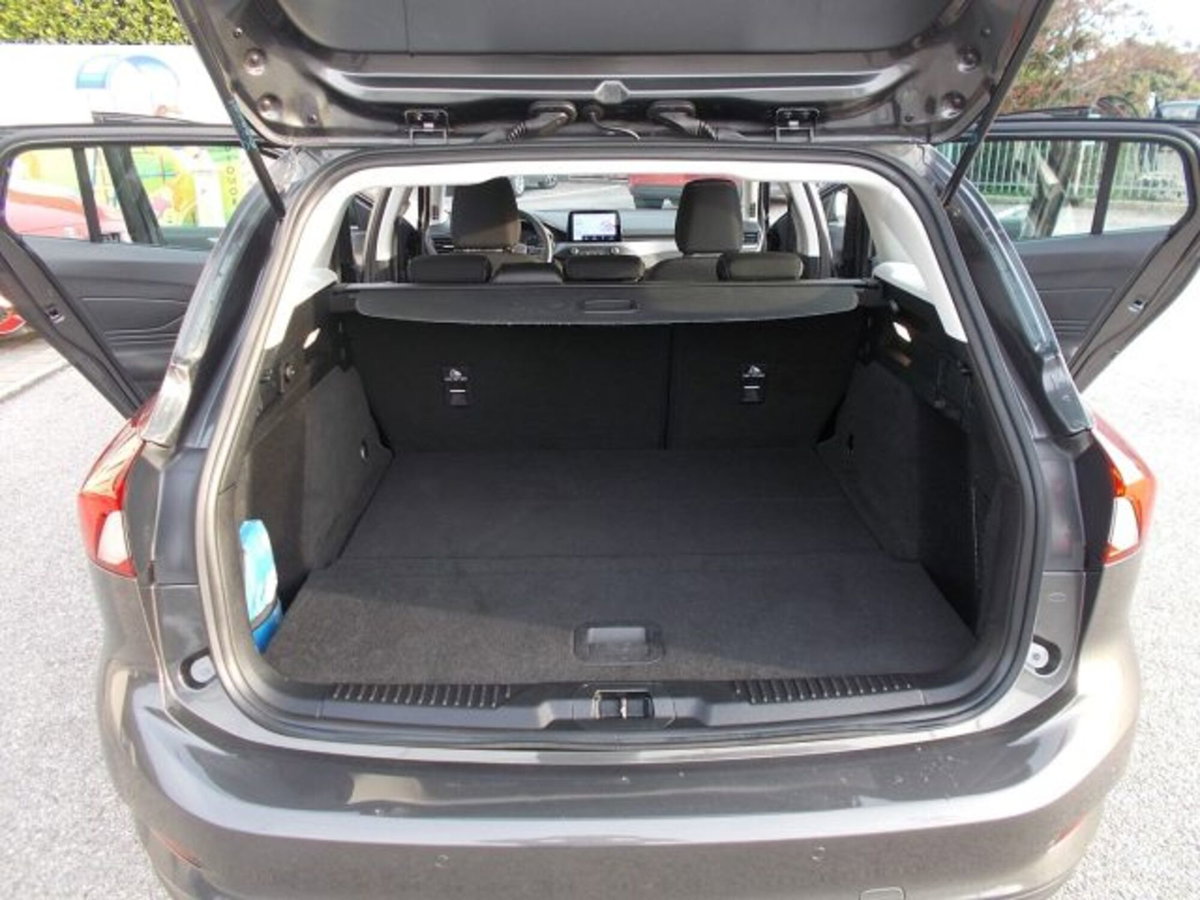 Ford Focus Station Wagon 1.5 EcoBlue 120 CV automatico SW Business (16)