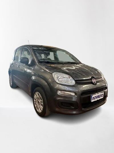 Fiat Panda 1.2 Easy usata