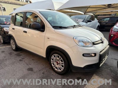 Fiat Panda 1.0 firefly hybrid s&s 70cv 5p.ti usata