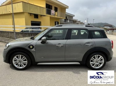 MINI Mini Countryman 2.0 Cooper S Hype Countryman (3)