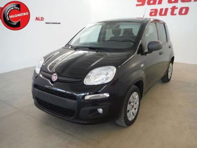 Fiat Panda 1.2 Lounge usata