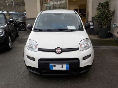Fiat Panda 1.0 firefly hybrid s&s 70cv 5p.ti nuova