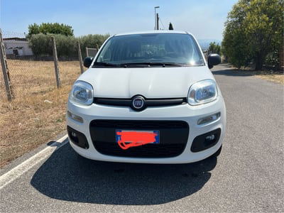 Fiat Panda 1.2 EasyPower Easy usata