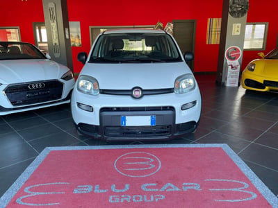 Fiat Panda 1.0 firefly hybrid s&s 70cv 5p.ti usata