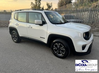 Jeep Renegade 1.0 T3 Business (3)