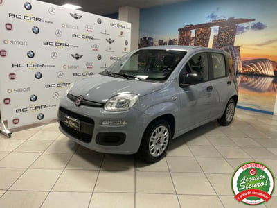 Fiat Panda 1.2 Easy usata