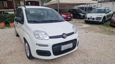Fiat Panda 1.3 MJT S&S Lounge usata
