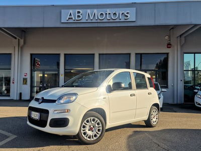 Fiat Panda 1.2 Easy usata