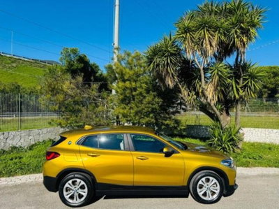 BMW X2 xDrive25e Advantage (7)