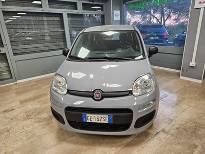 Fiat Panda 1.0 FireFly S&S Hybrid  usata