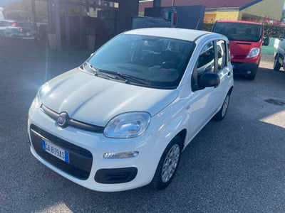 Fiat Panda 1.2 Lounge usata