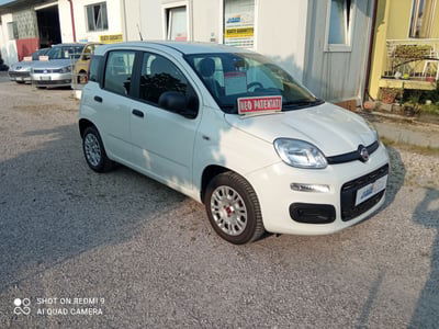 Fiat Panda 1.2 Lounge usata