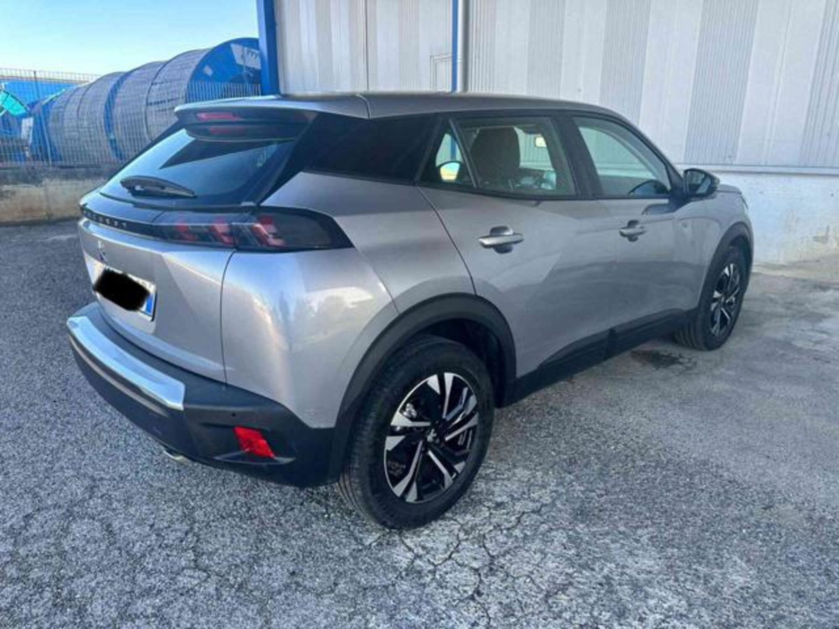 Peugeot 2008 BlueHDi 110 S&S Active (2)