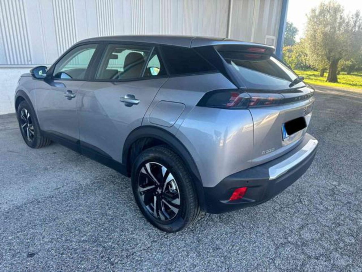 Peugeot 2008 BlueHDi 110 S&S Active (4)