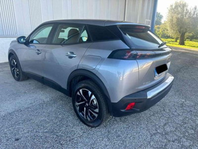 Peugeot 2008 BlueHDi 110 S&S Active (4)